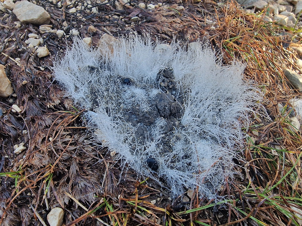 Slavnik, 20. 12. 2025