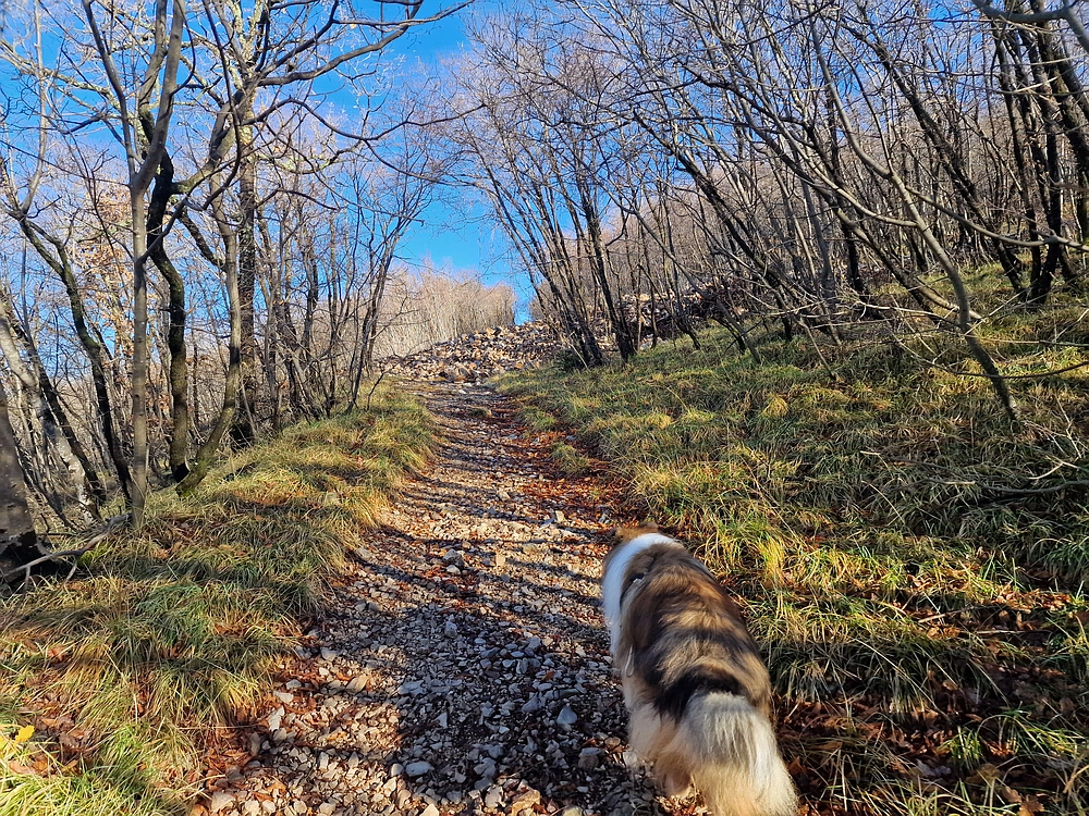 Slavnik, 20. 12. 2025