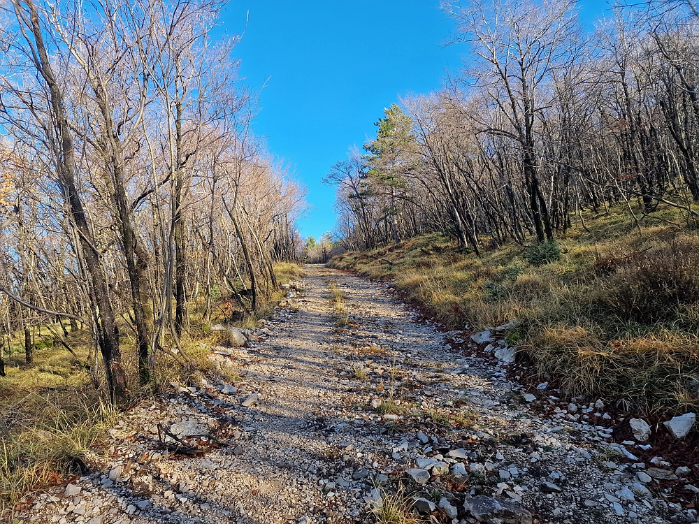 Slavnik, 20. 12. 2025