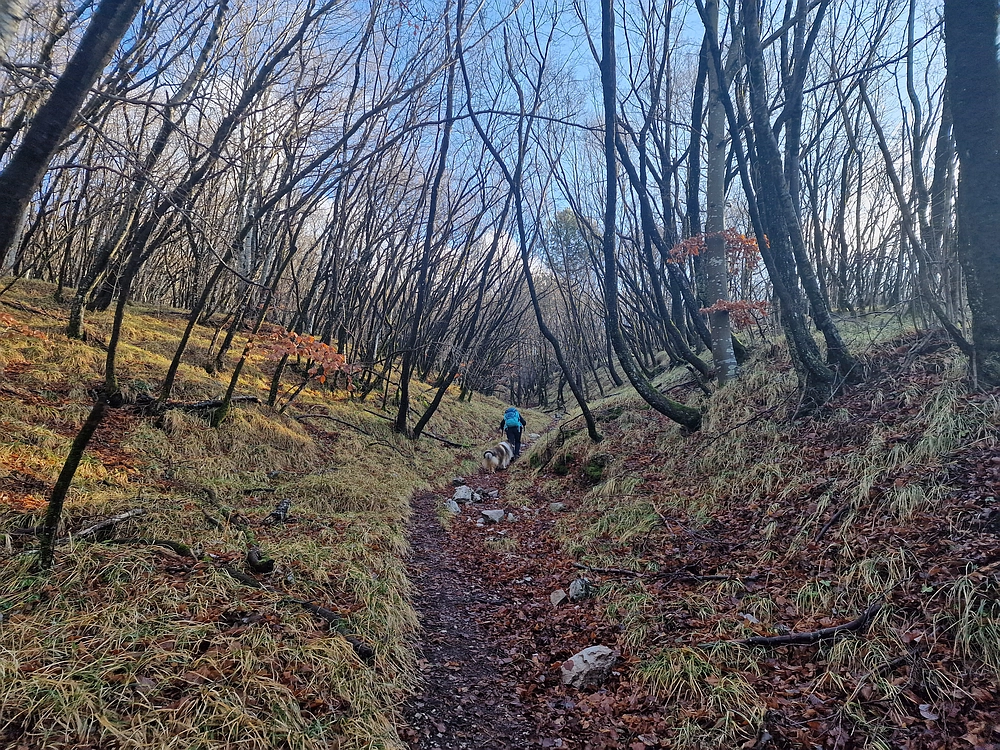 Slavnik, 20. 12. 2025