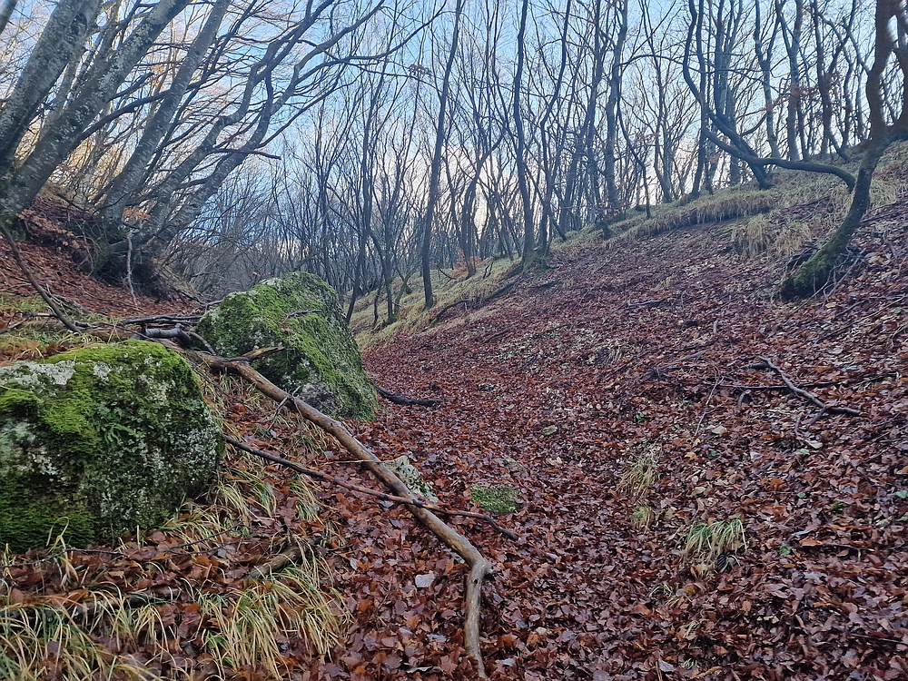 Slavnik, 20. 12. 2025