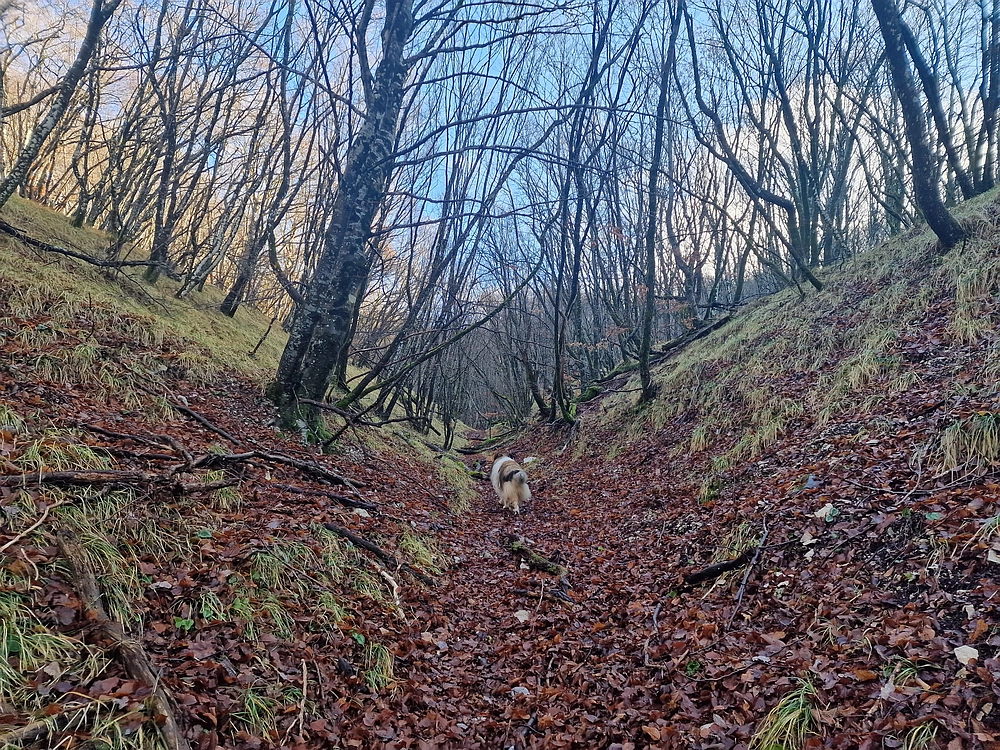 Slavnik, 20. 12. 2025