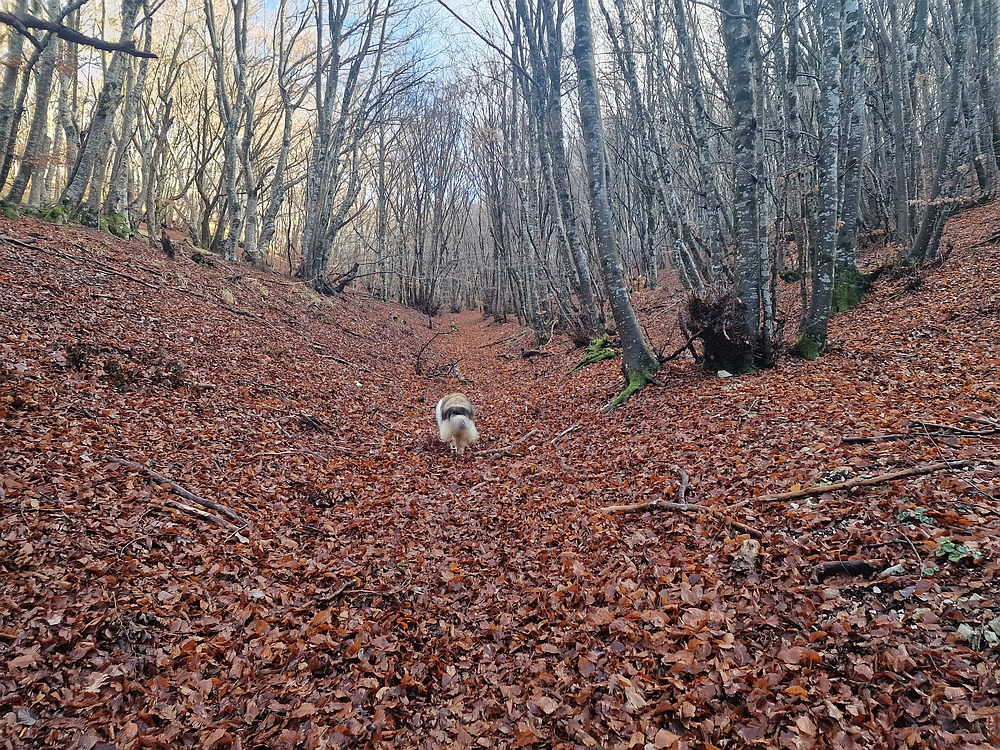 Slavnik, 20. 12. 2025