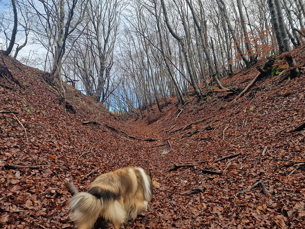 Slavnik, 20. 12. 2025