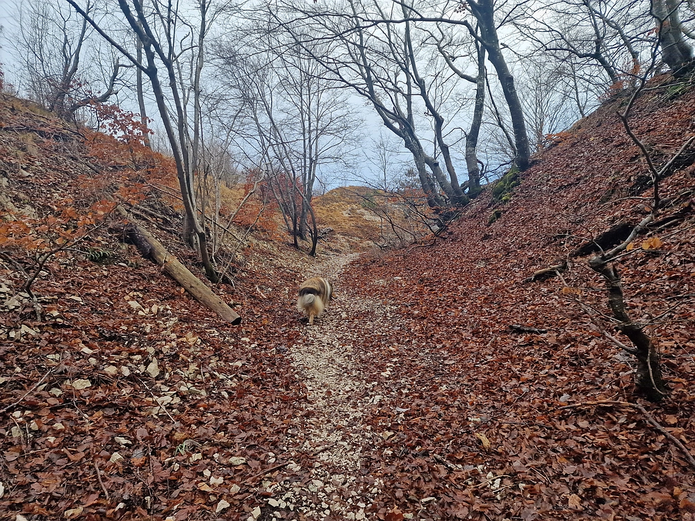 Slavnik, 20. 12. 2025