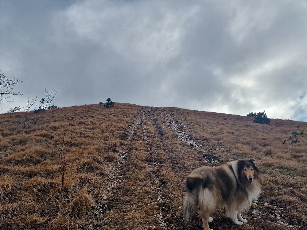 Slavnik, 20. 12. 2025