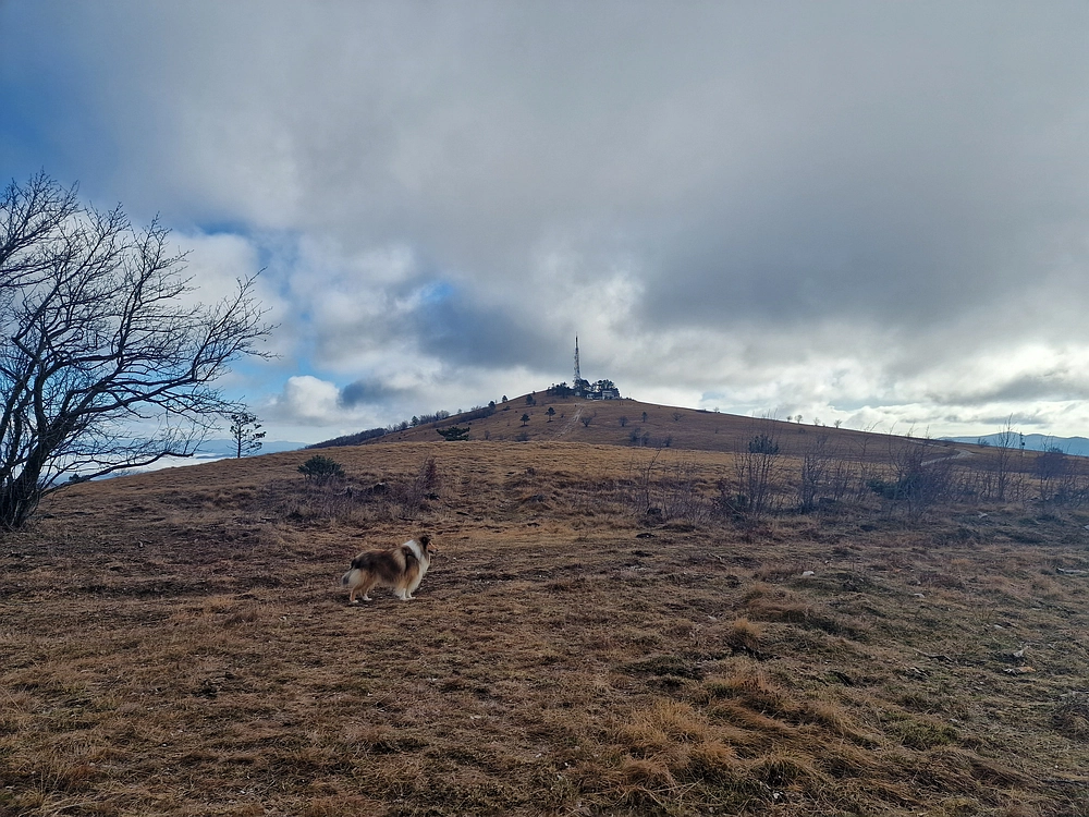 Slavnik, 20. 12. 2025