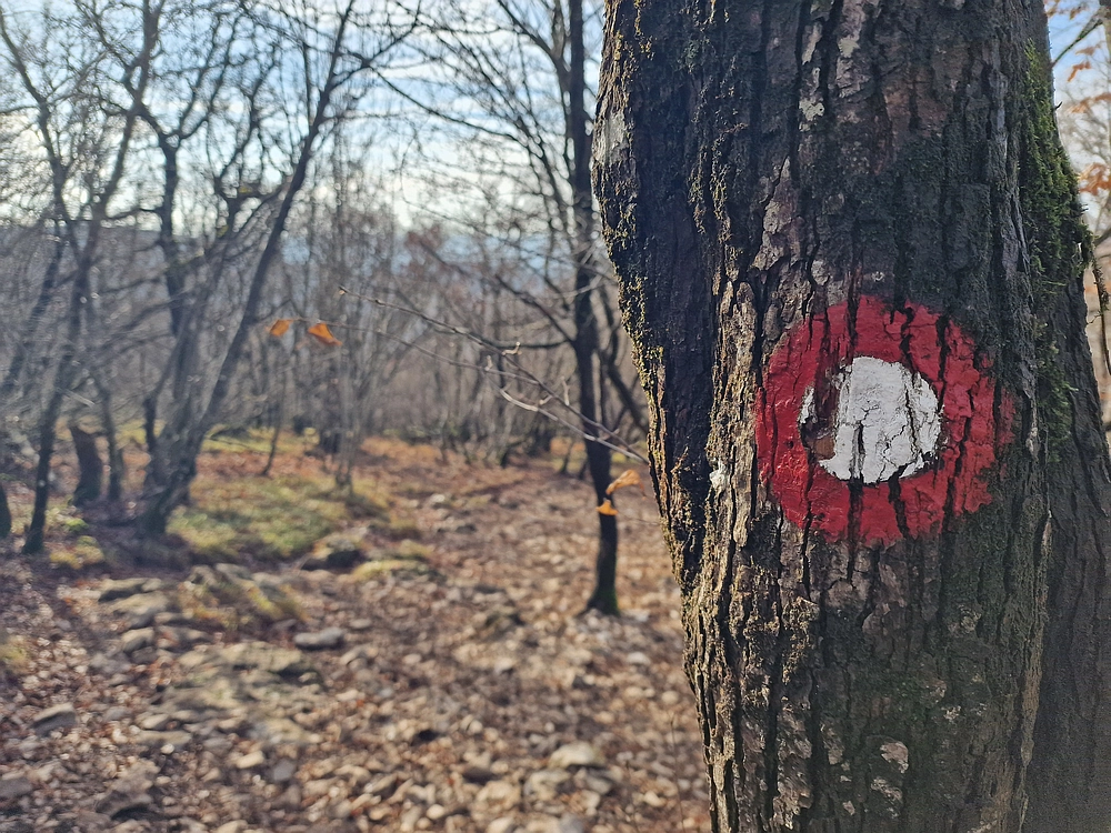 Slavnik, 20. 12. 2025