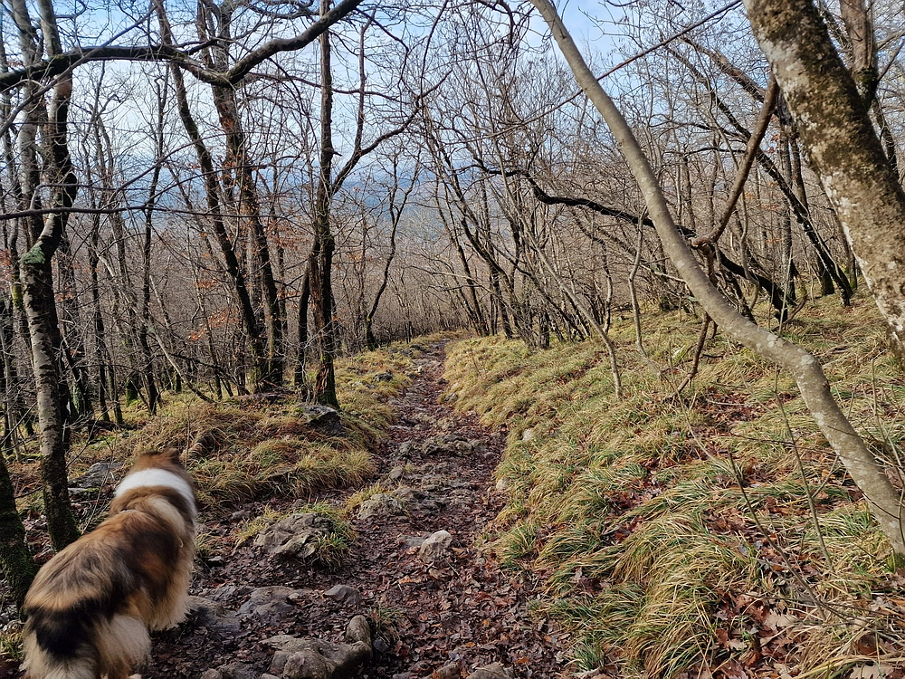 Slavnik, 20. 12. 2025