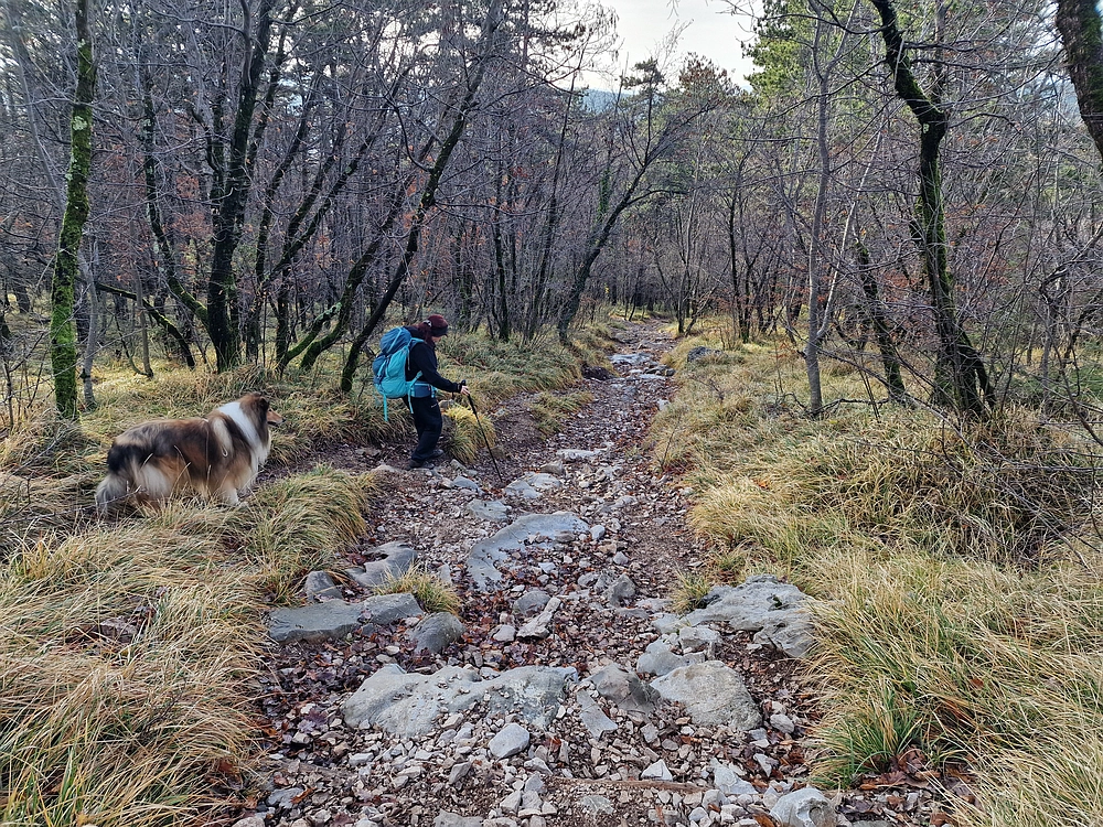 Slavnik, 20. 12. 2025