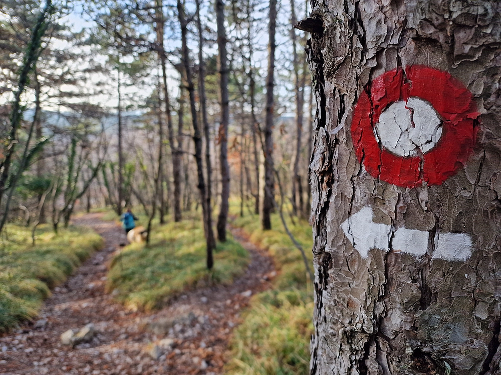 Slavnik, 20. 12. 2025