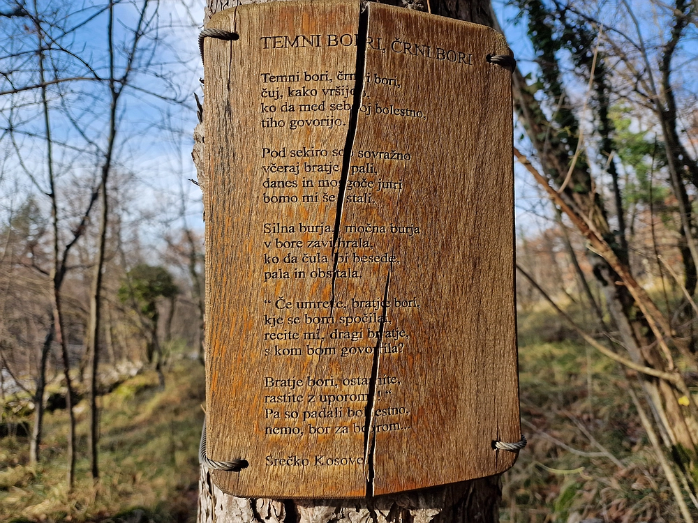 Slavnik, 20. 12. 2025