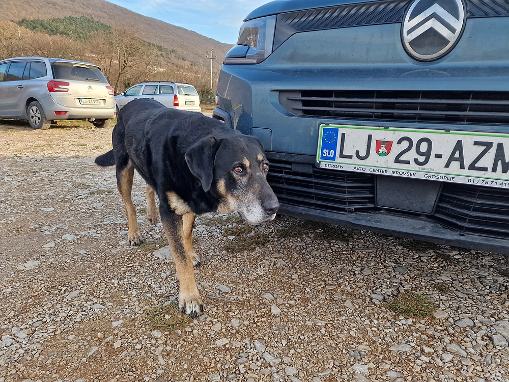 Slavnik, 20. 12. 2025