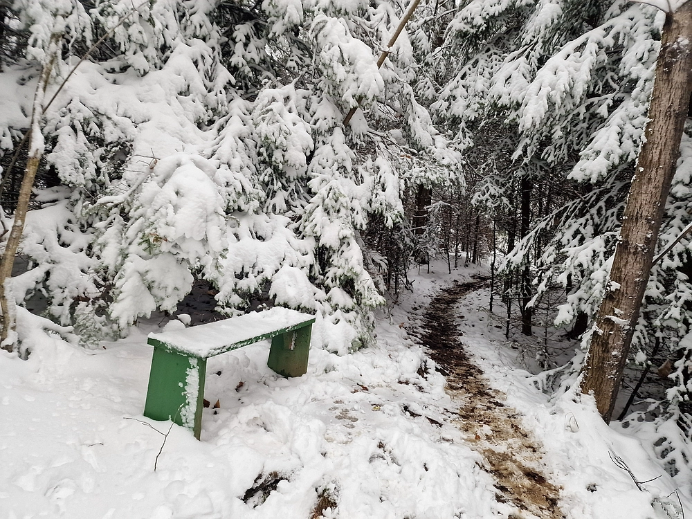 Mrzlica čez Zg. Čeče, 26. 12. 2025