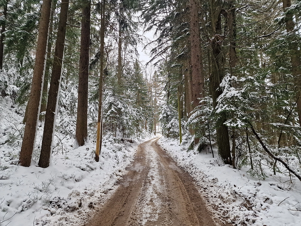 Mrzlica čez Zg. Čeče, 26. 12. 2025