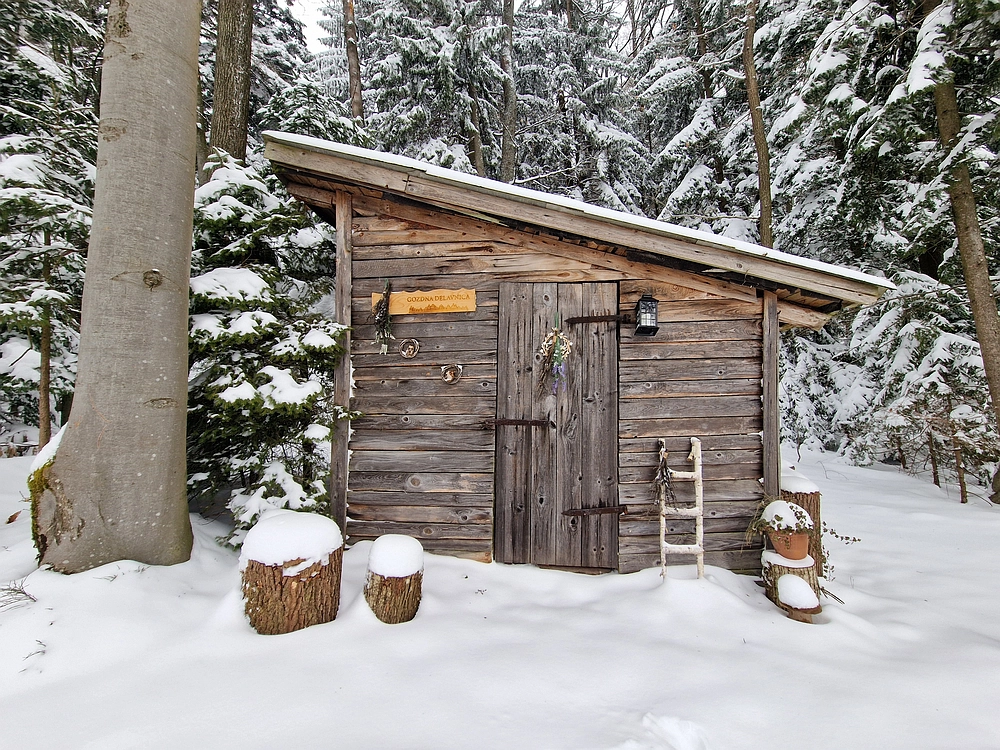 Mrzlica čez Zg. Čeče, 26. 12. 2025