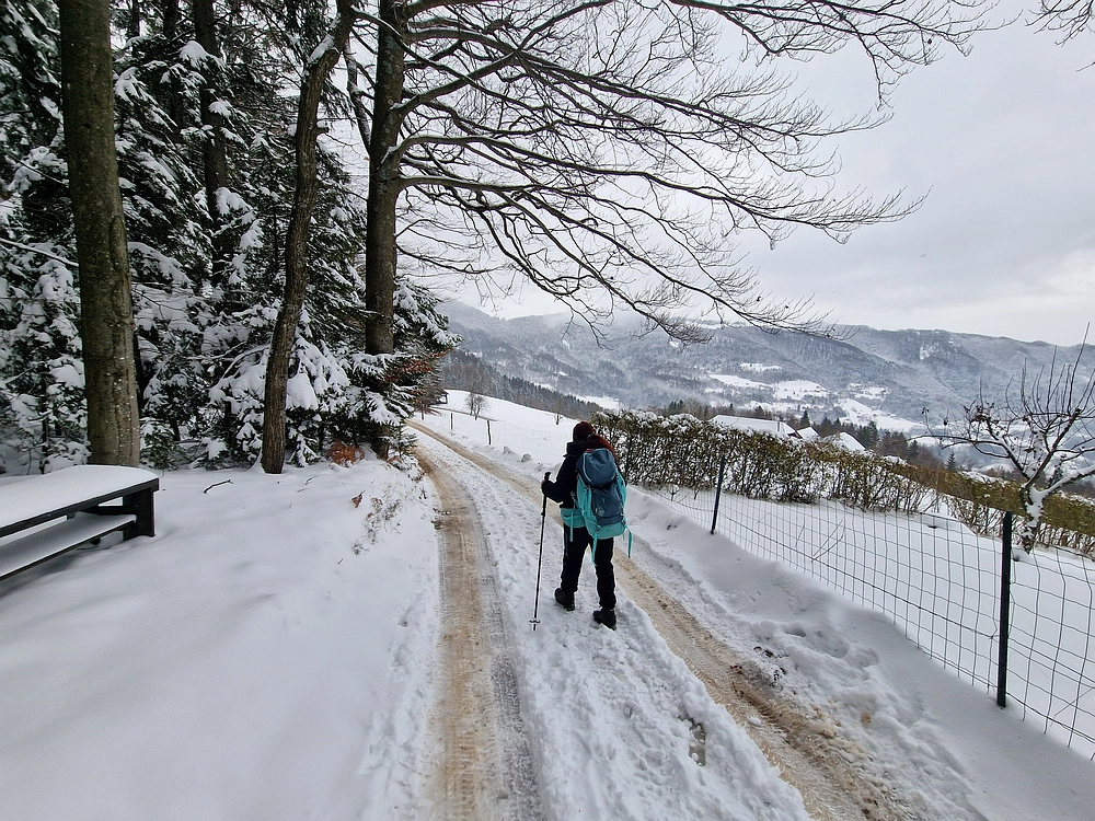Mrzlica čez Zg. Čeče, 26. 12. 2025