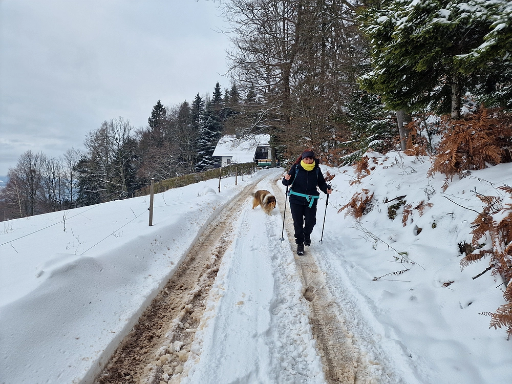 Mrzlica čez Zg. Čeče, 26. 12. 2025