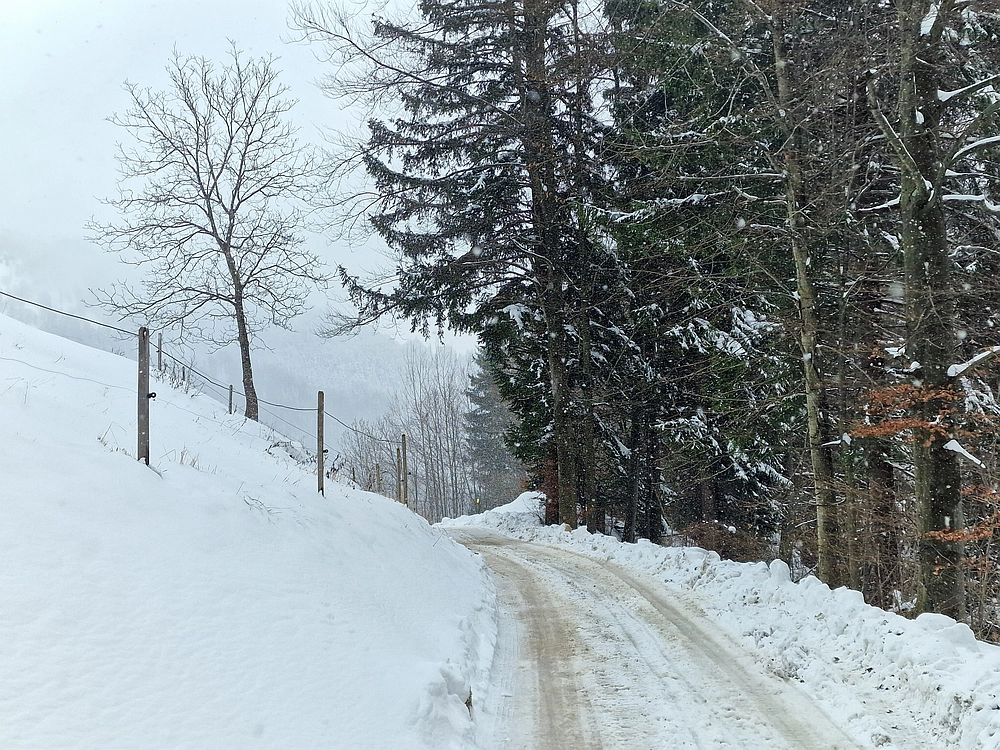 Mrzlica čez Zg. Čeče, 26. 12. 2025