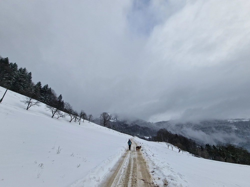Mrzlica čez Zg. Čeče, 26. 12. 2025