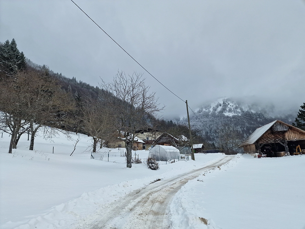 Mrzlica čez Zg. Čeče, 26. 12. 2025