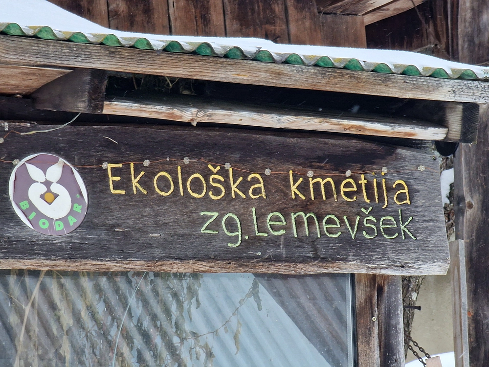 Mrzlica čez Zg. Čeče, 26. 12. 2025