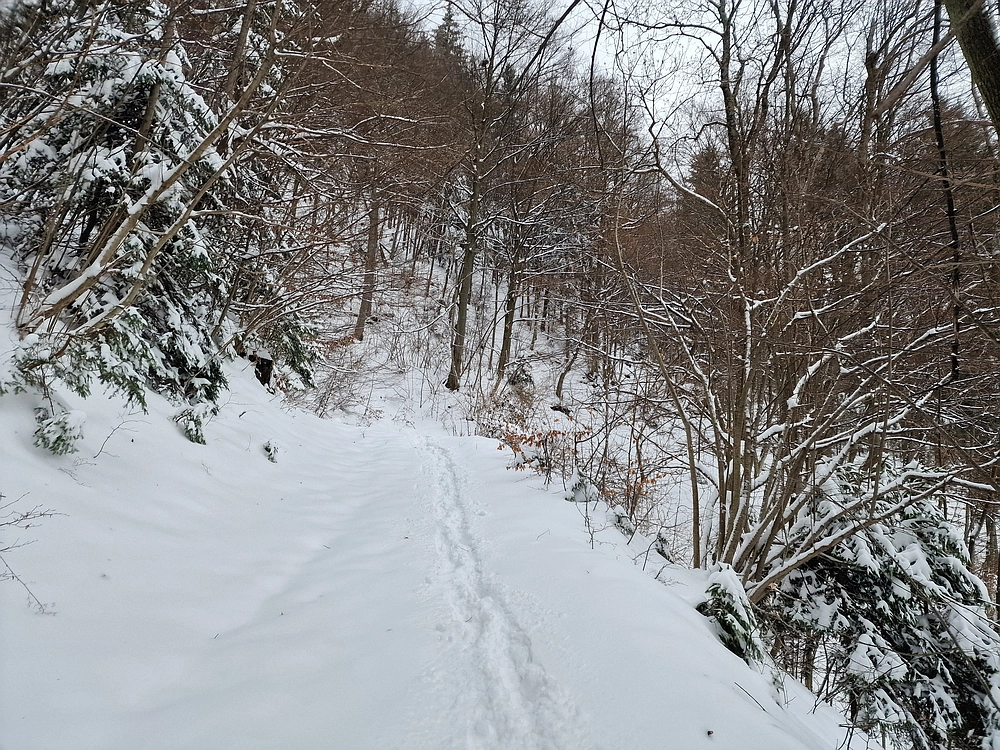 Mrzlica čez Zg. Čeče, 26. 12. 2025