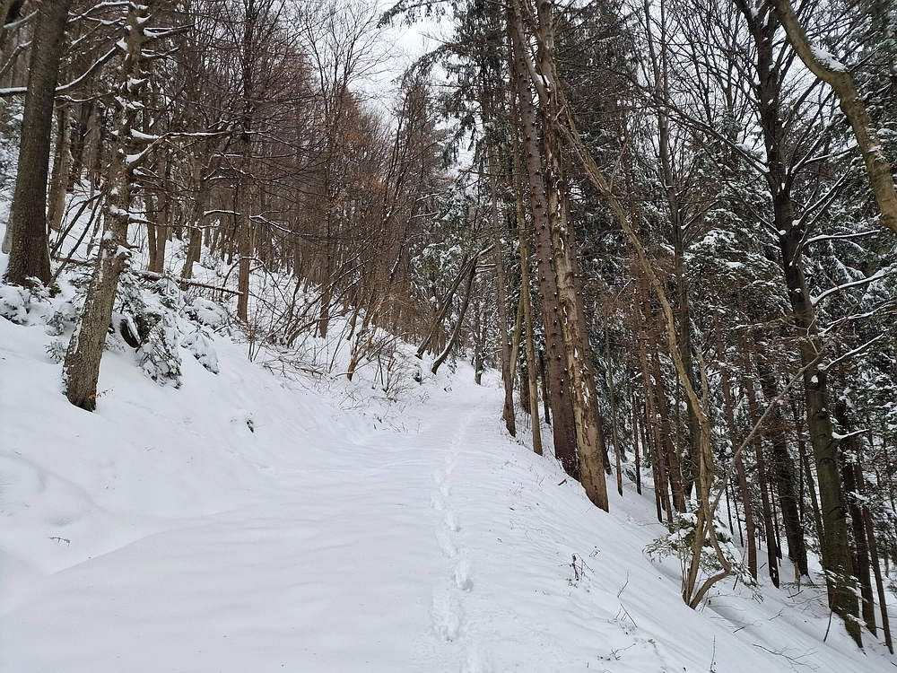 Mrzlica čez Zg. Čeče, 26. 12. 2025