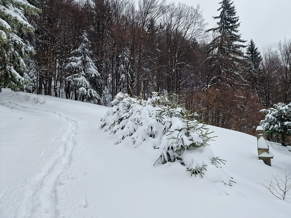 Mrzlica čez Zg. Čeče, 26. 12. 2025