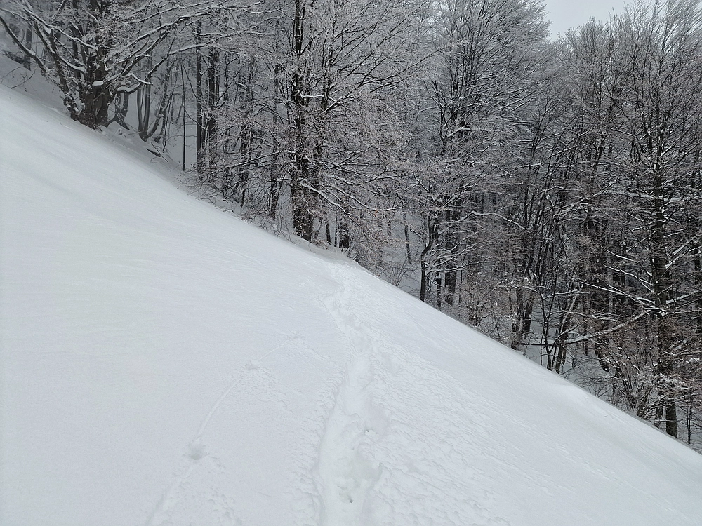 Mrzlica čez Zg. Čeče, 26. 12. 2025