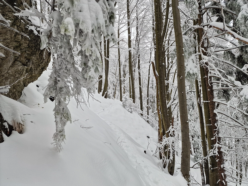 Mrzlica čez Zg. Čeče, 26. 12. 2025