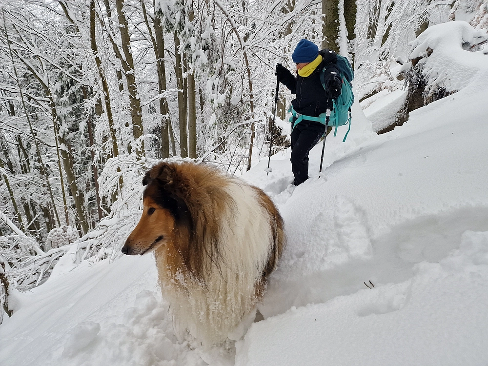 Mrzlica čez Zg. Čeče, 26. 12. 2025