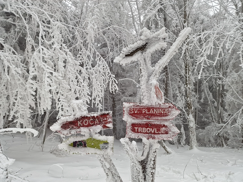 Mrzlica čez Zg. Čeče, 26. 12. 2025