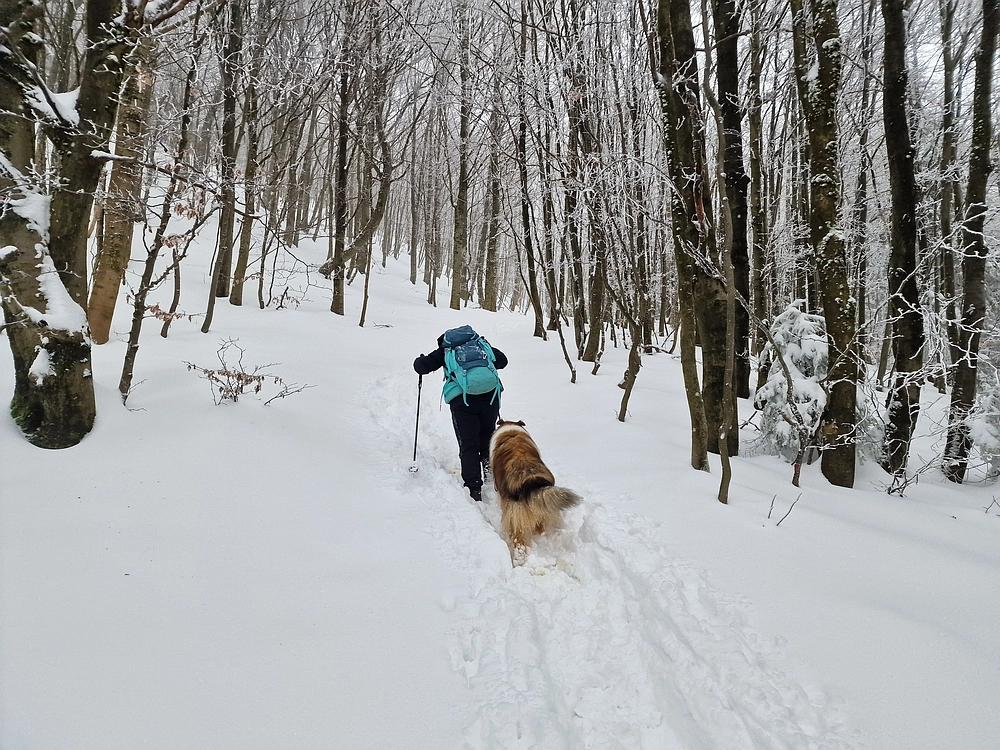 Mrzlica čez Zg. Čeče, 26. 12. 2025