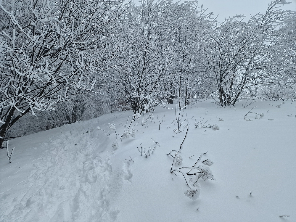 Mrzlica čez Zg. Čeče, 26. 12. 2025