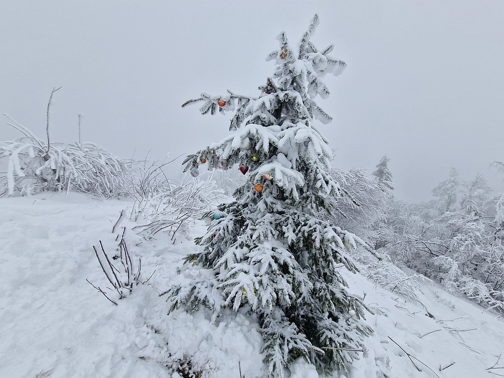 Mrzlica čez Zg. Čeče, 26. 12. 2025