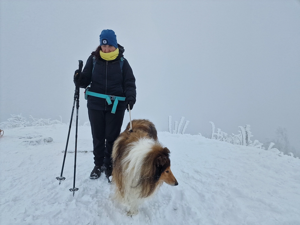 Mrzlica čez Zg. Čeče, 26. 12. 2025