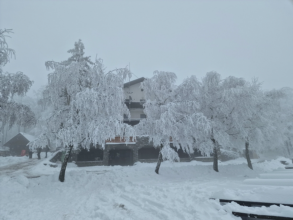 Mrzlica čez Zg. Čeče, 26. 12. 2025