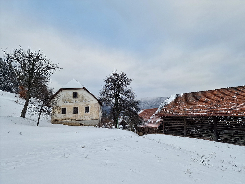 Mrzlica čez Zg. Čeče, 26. 12. 2025