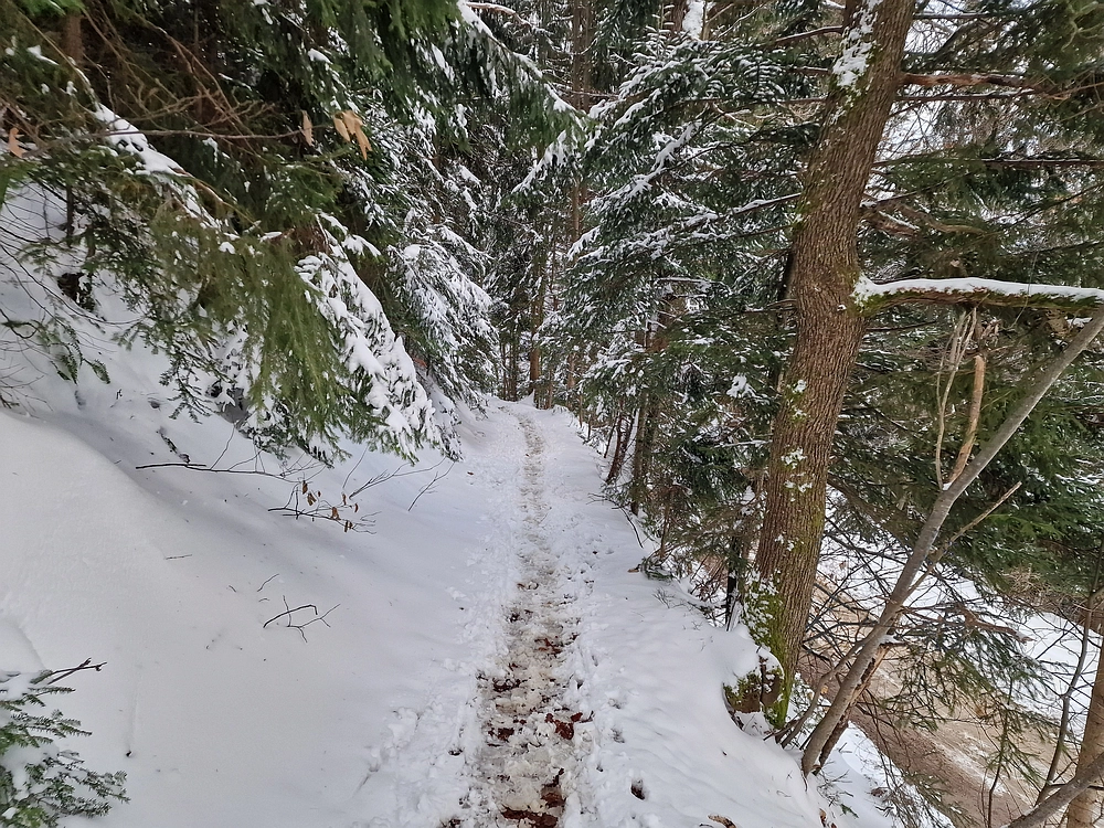 Mrzlica čez Zg. Čeče, 26. 12. 2025