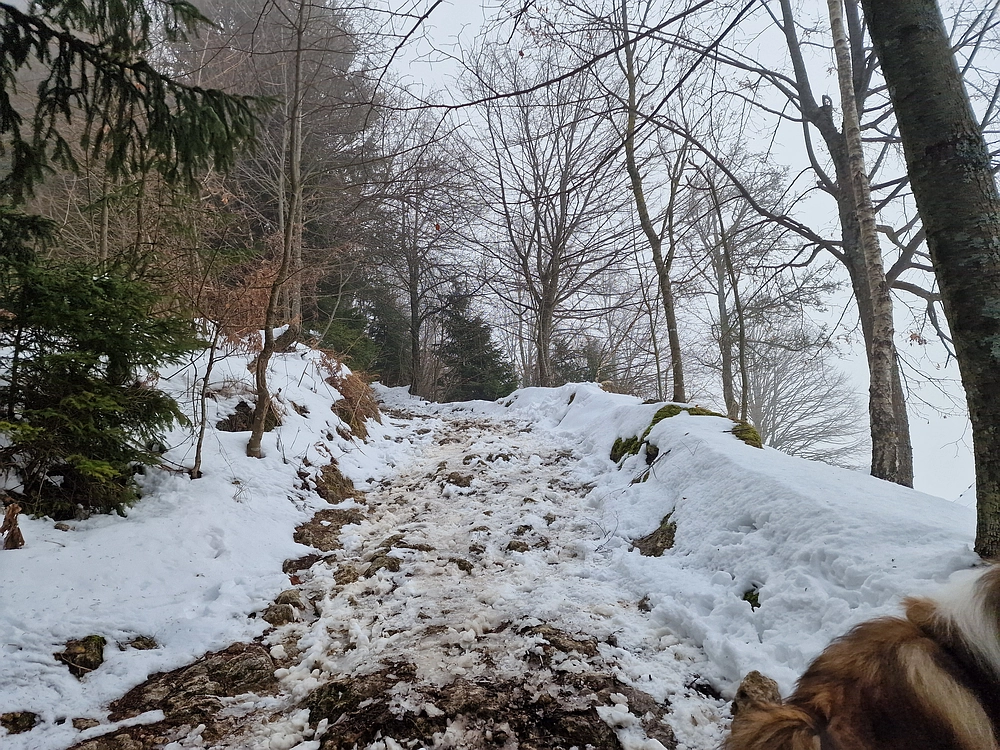 Kum z Malega Kuma, 28. 12. 2025