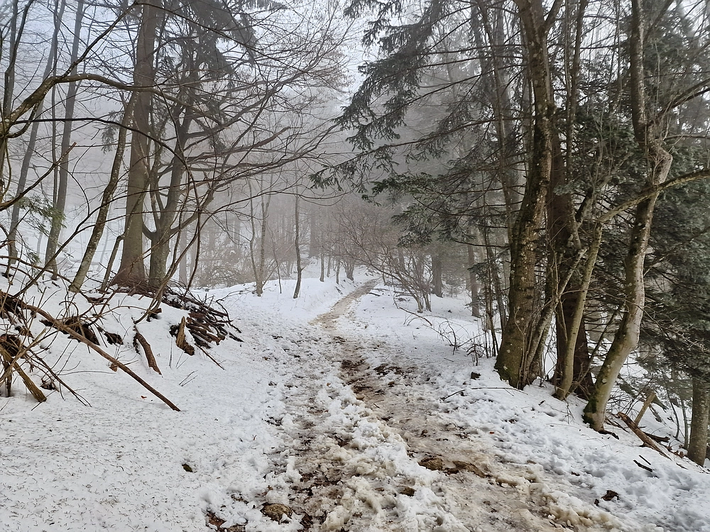 Kum z Malega Kuma, 28. 12. 2025