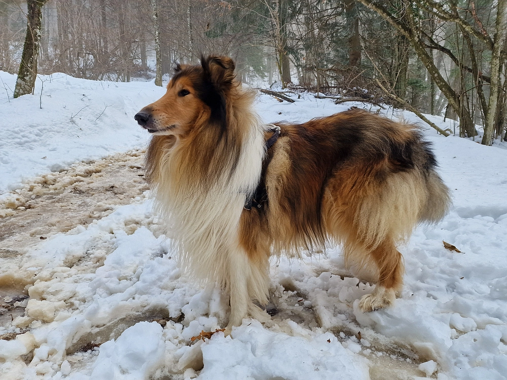 Kum z Malega Kuma, 28. 12. 2025