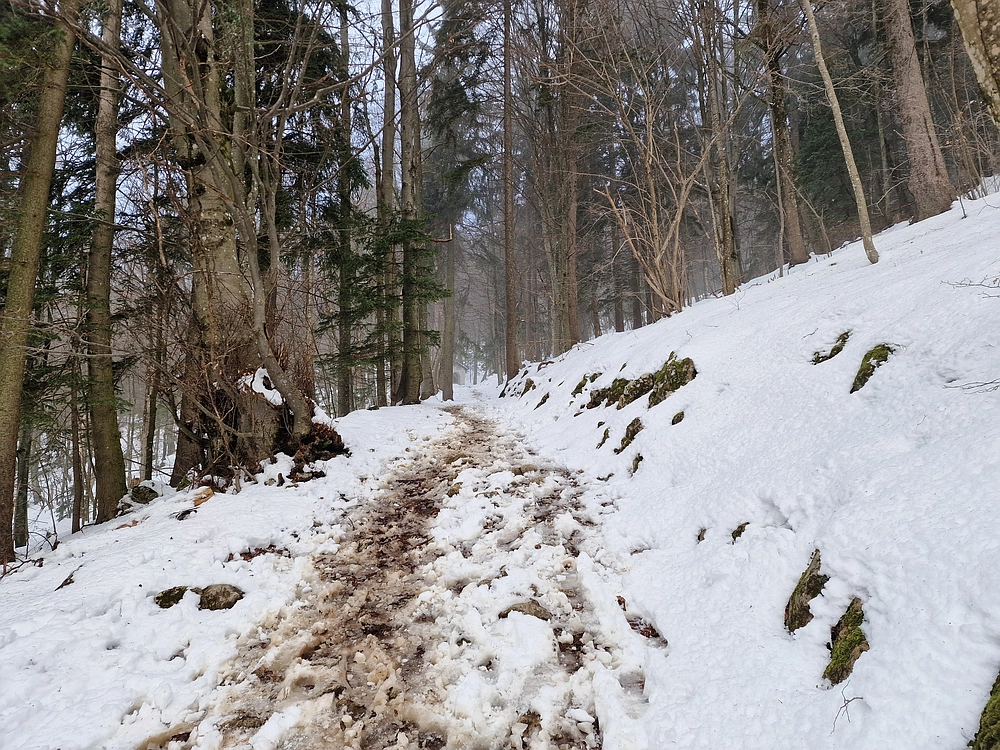 Kum z Malega Kuma, 28. 12. 2025