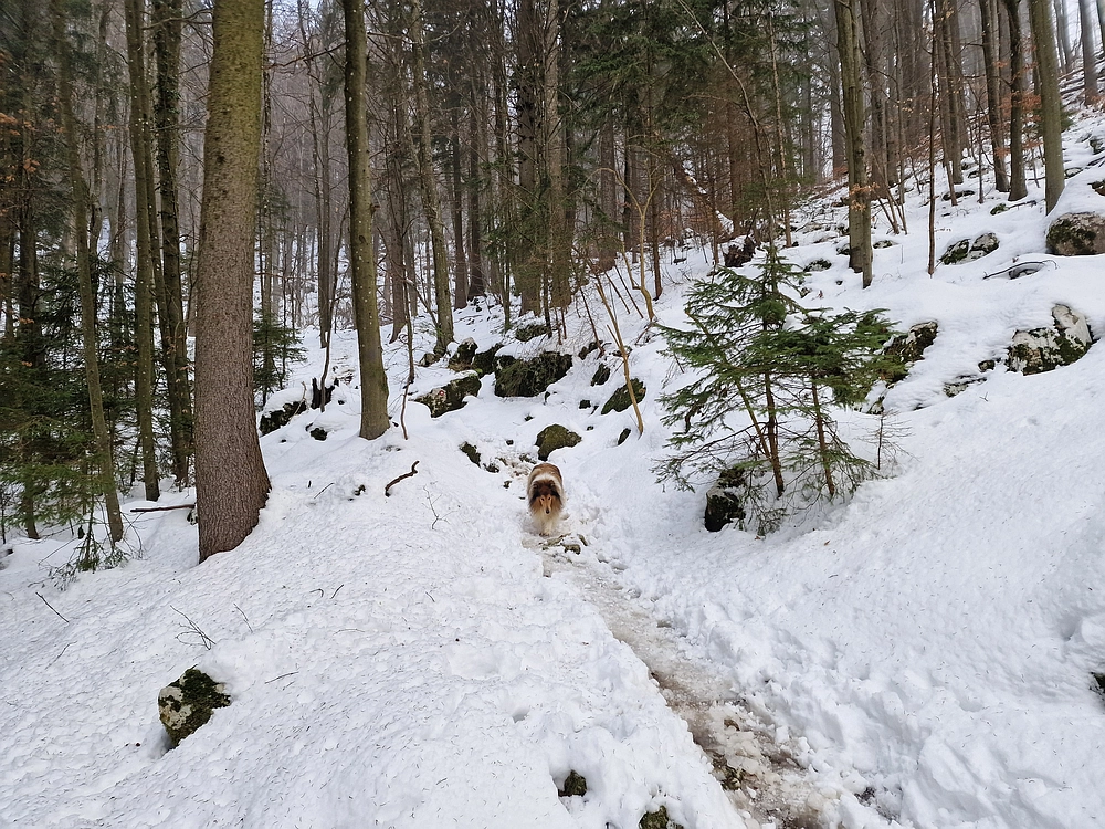 Kum z Malega Kuma, 28. 12. 2025