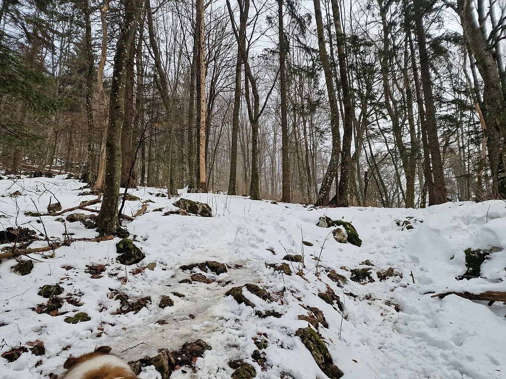 Kum z Malega Kuma, 28. 12. 2025