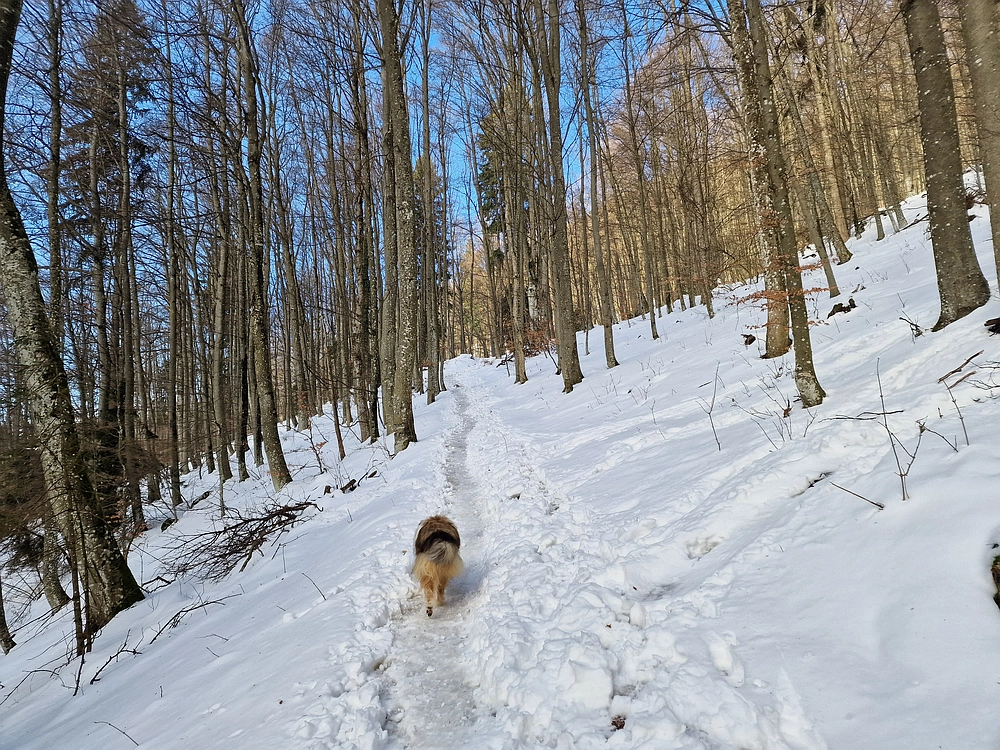 Kum z Malega Kuma, 28. 12. 2025