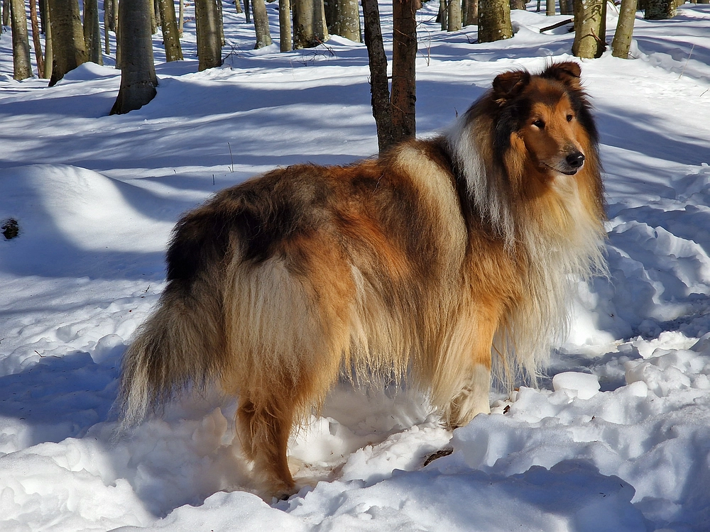 Kum z Malega Kuma, 28. 12. 2025