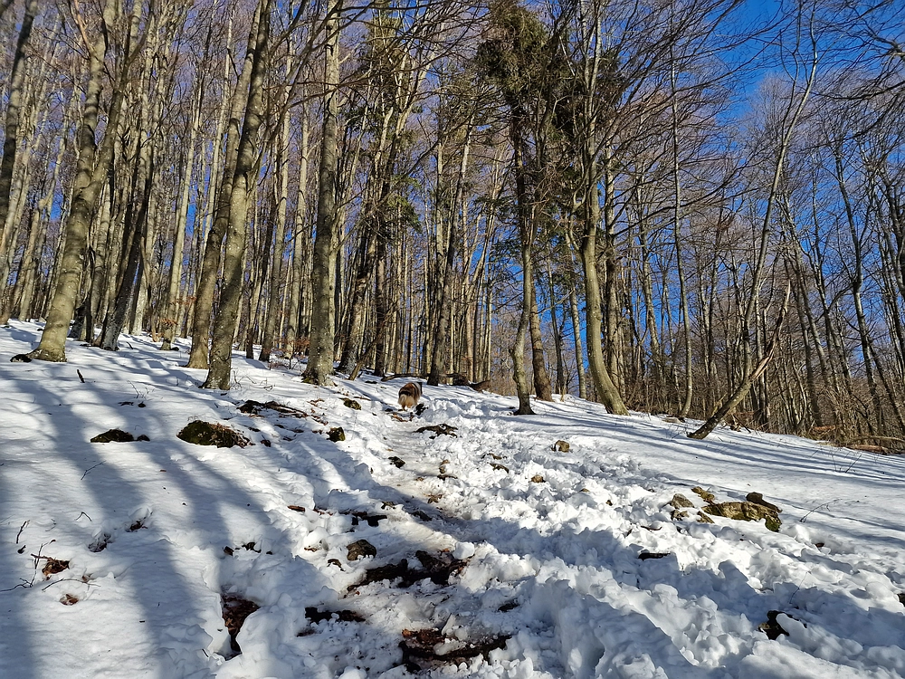 Kum z Malega Kuma, 28. 12. 2025