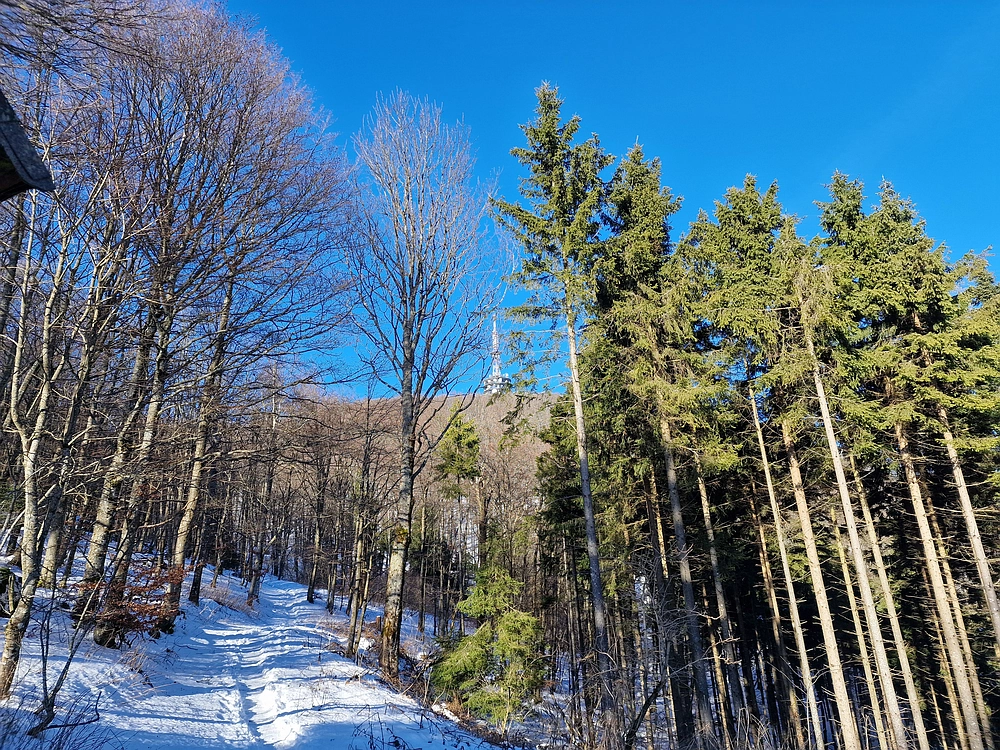 Kum z Malega Kuma, 28. 12. 2025